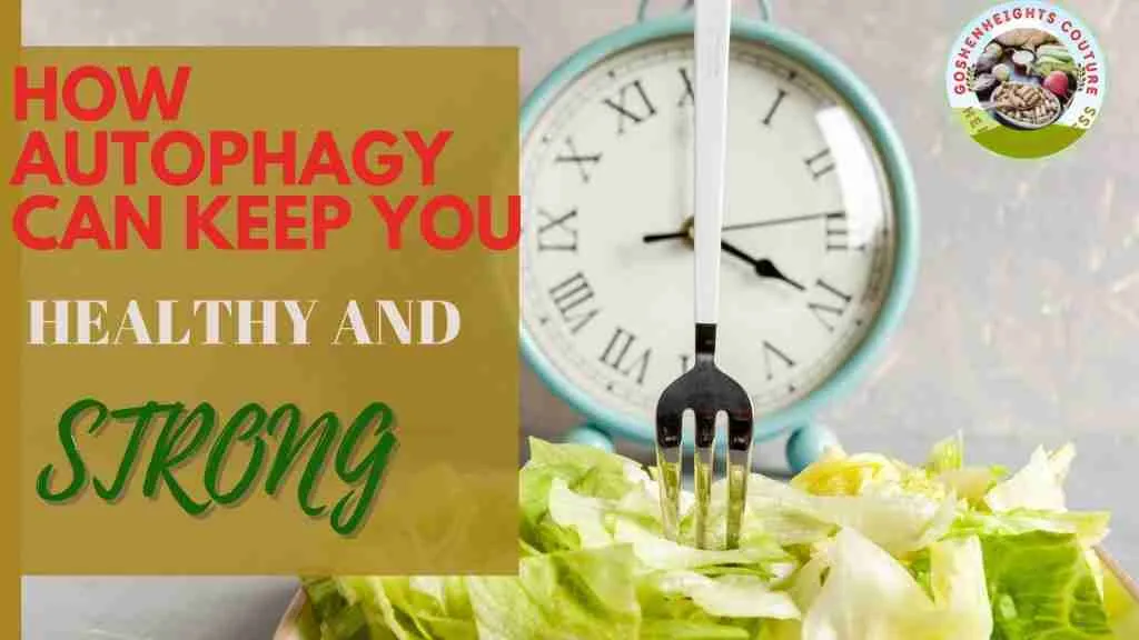 how autophagy can keep you healthy and strong