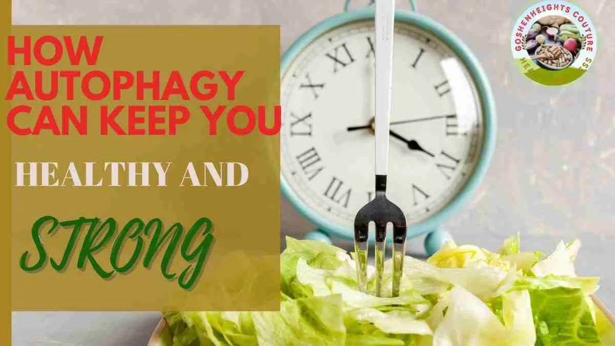 Read more about the article HOW AUTOPHAGY CAN KEEP YOU HEALTHY AND STRONG
