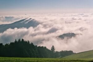 Read more about the article Effective Oral Sprays for Better Health and Fresh Breath