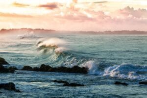 Read more about the article Key Benefits and Uses of Fast-Acting Oral Sprays