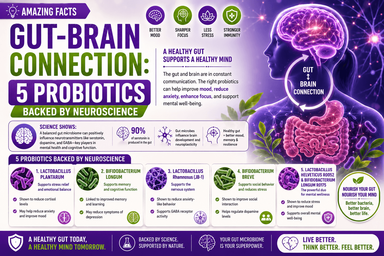 Read more about the article Amazing facts :Gut-Brain Connection: 5 Probiotics Backed by Neuroscience
